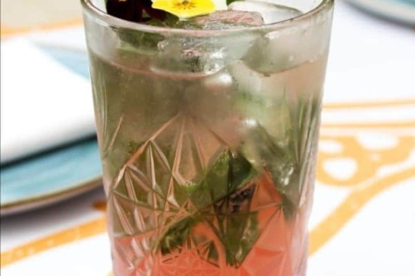 Coctel, Guadalupe Latina